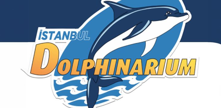 İstanbul Dolphinarium’da Yunuslarla Özel Yüzme Programı ve Gösteriler