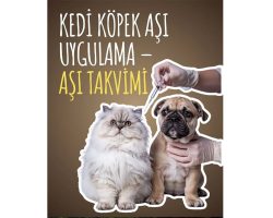 Kedi Köpek Aşı Uygulama – Aşı Takvimi
