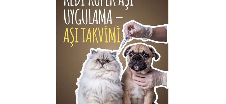 Kedi Köpek Aşı Uygulama – Aşı Takvimi