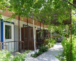 Bodrum’da Doğallığın ve Konforun Yeni Adresi: Mazi Çiçek Pansiyon