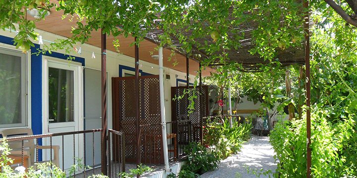 Bodrum’da Doğallığın ve Konforun Yeni Adresi: Mazi Çiçek Pansiyon