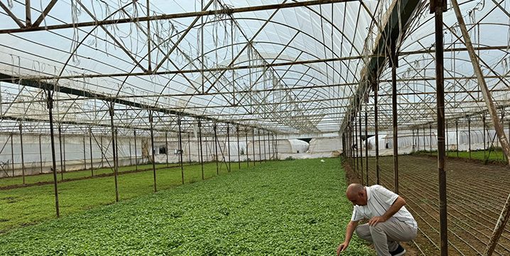 ASAN TARIM DAMLA SULAMA PROJESİYLE FARK YARATTI