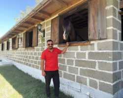 Seyfi Sarıoğlu Kimdir