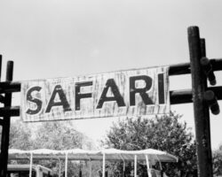 Marmaris’te Unutulmaz Bir Deneyim: At Safari