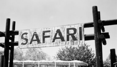 Marmaris’te Unutulmaz Bir Deneyim: At Safari