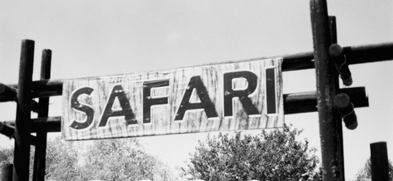 Marmaris’te Unutulmaz Bir Deneyim: At Safari